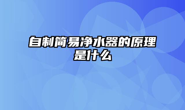 自制简易净水器的原理是什么