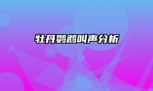 牡丹鹦鹉叫声分析