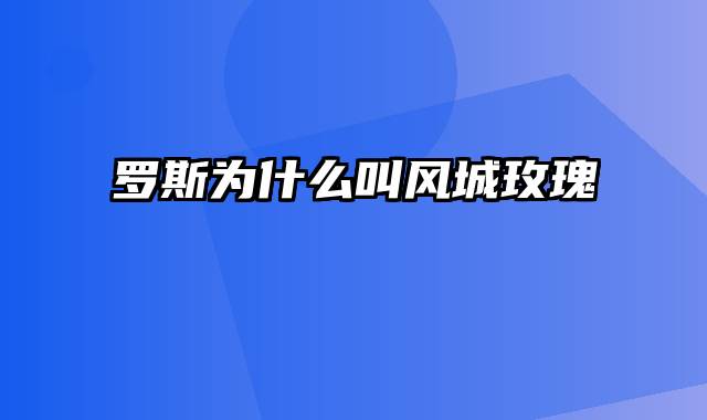 罗斯为什么叫风城玫瑰