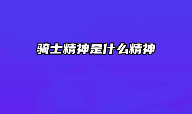 骑士精神是什么精神