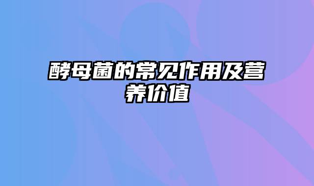 酵母菌的常见作用及营养价值