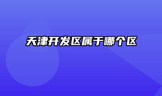 天津开发区属于哪个区
