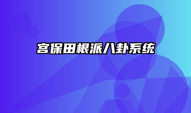 宫保田根派八卦系统