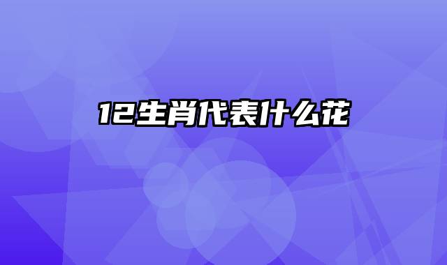 12生肖代表什么花