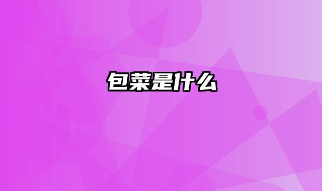 包菜是什么
