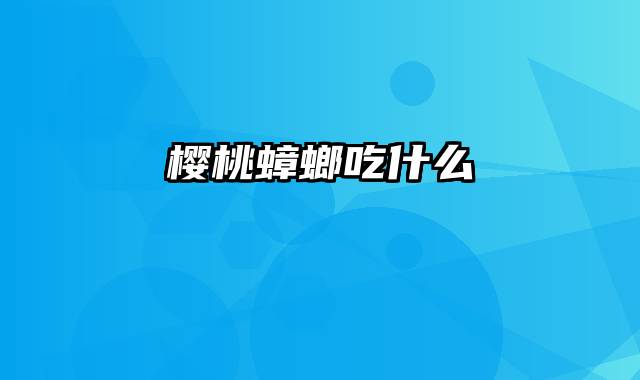 樱桃蟑螂吃什么