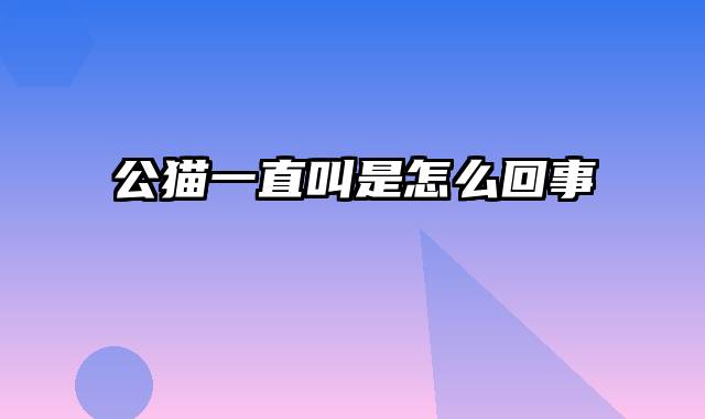 公猫一直叫是怎么回事