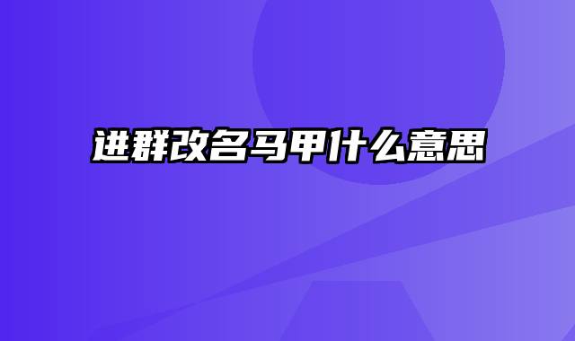 进群改名马甲什么意思