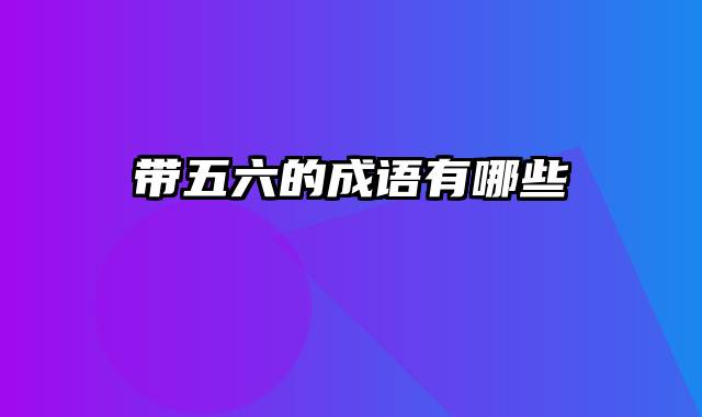 带五六的成语有哪些