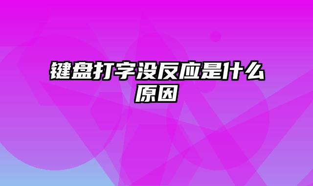 键盘打字没反应是什么原因
