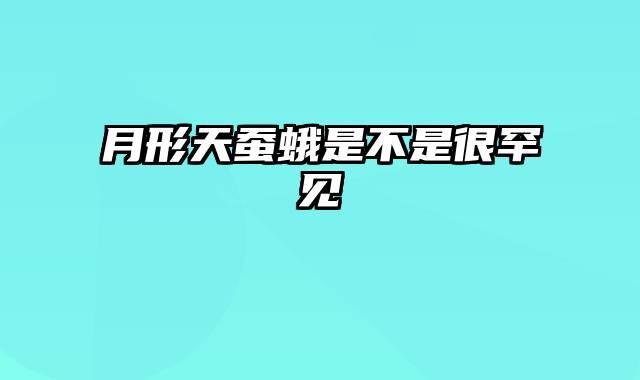 月形天蚕蛾是不是很罕见