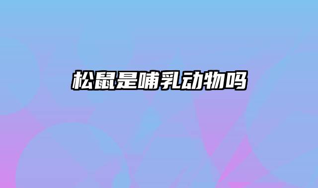 松鼠是哺乳动物吗