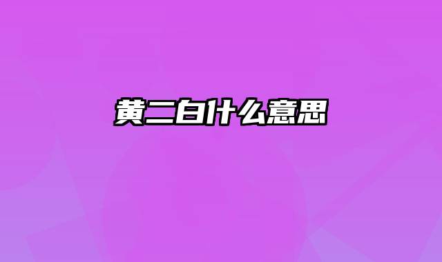 黄二白什么意思