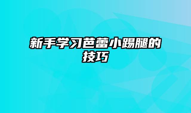 新手学习芭蕾小踢腿的技巧