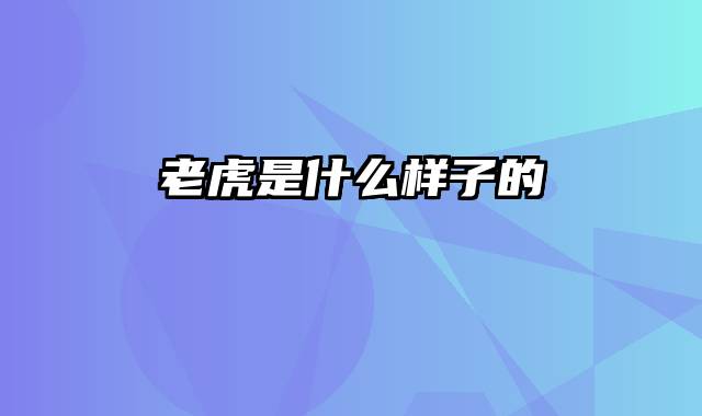 老虎是什么样子的