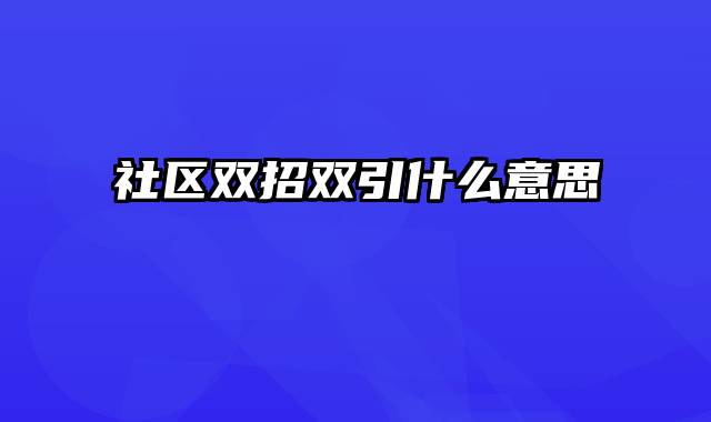 社区双招双引什么意思