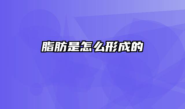 脂肪是怎么形成的