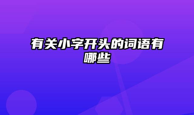 有关小字开头的词语有哪些