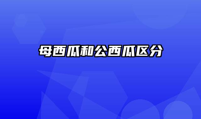 母西瓜和公西瓜区分