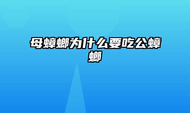 母蟑螂为什么要吃公蟑螂