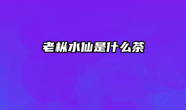 老枞水仙是什么茶