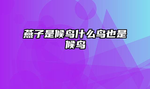 燕子是候鸟什么鸟也是候鸟