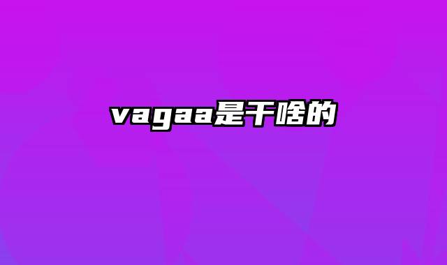 vagaa是干啥的