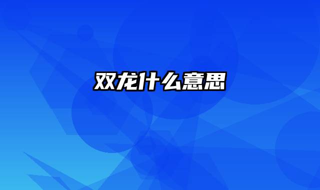 双龙什么意思