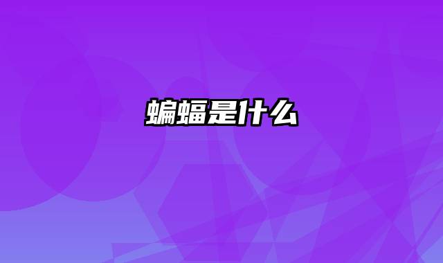 蝙蝠是什么