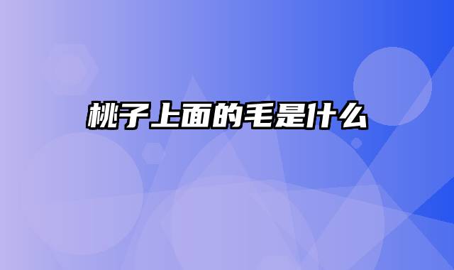 桃子上面的毛是什么