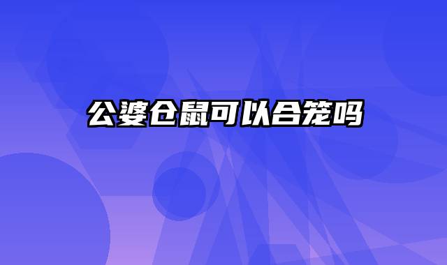 公婆仓鼠可以合笼吗