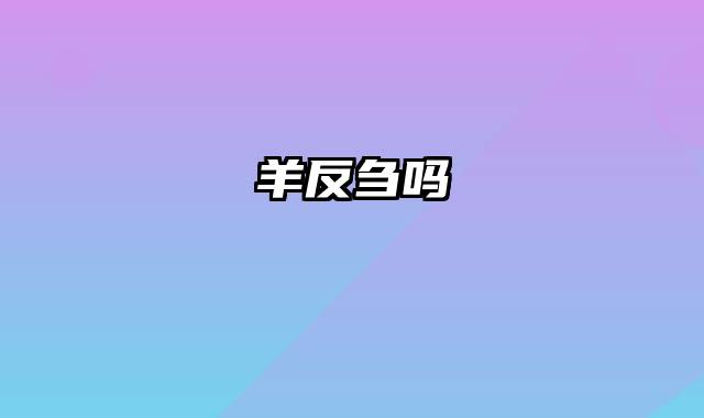 羊反刍吗