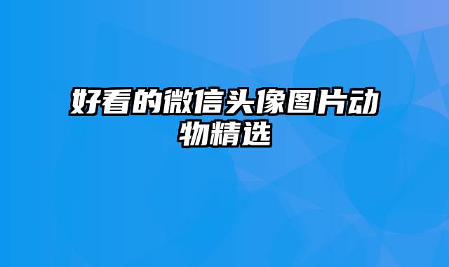 好看的微信头像图片动物精选