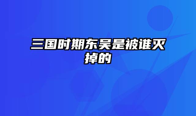 三国时期东吴是被谁灭掉的