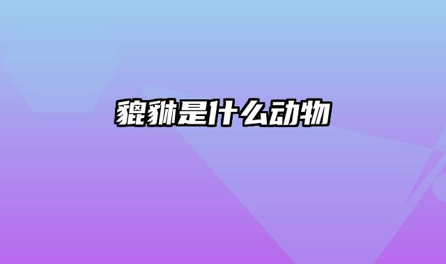 貔貅是什么动物