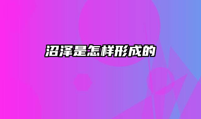 沼泽是怎样形成的