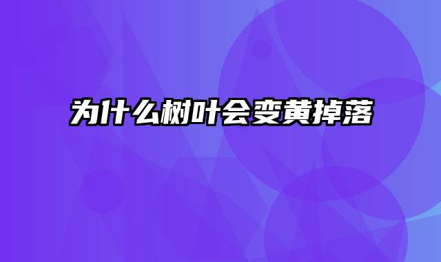 为什么树叶会变黄掉落