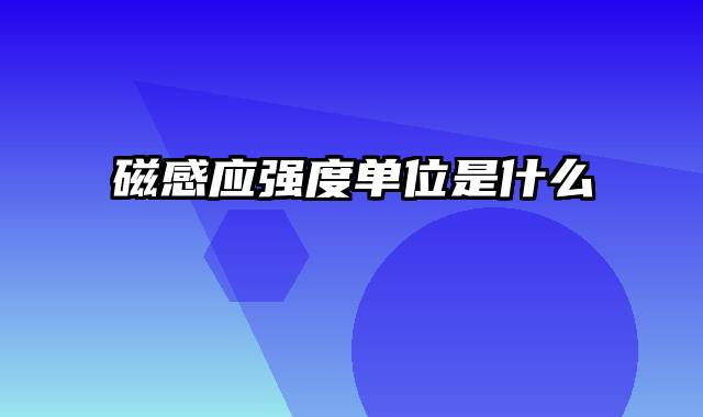 磁感应强度单位是什么