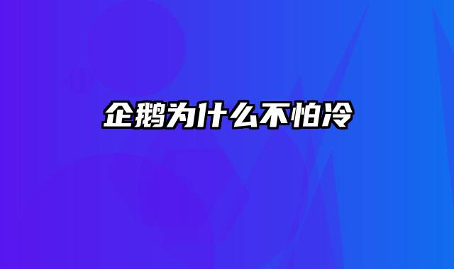 企鹅为什么不怕冷