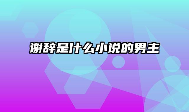 谢辞是什么小说的男主