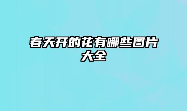 春天开的花有哪些图片大全