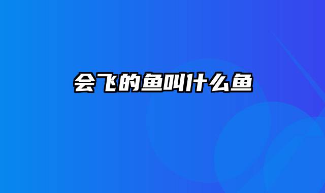 会飞的鱼叫什么鱼