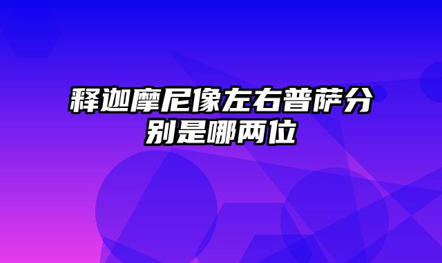 释迦摩尼像左右普萨分别是哪两位