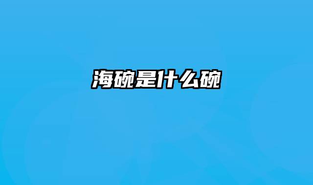 海碗是什么碗