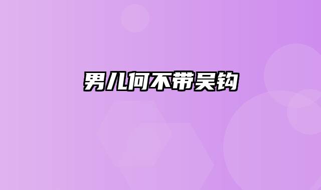 男儿何不带吴钩
