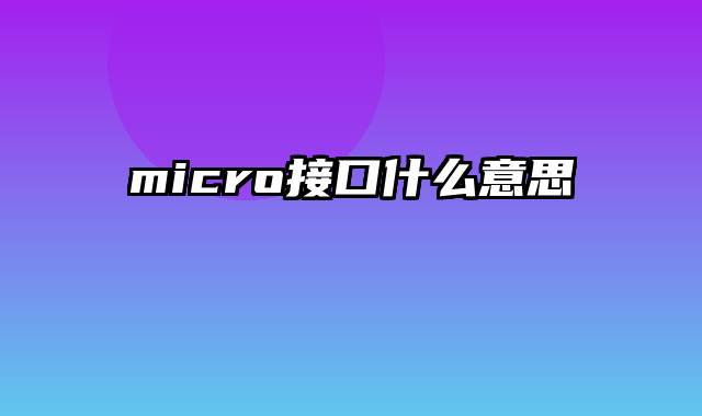 micro接口什么意思