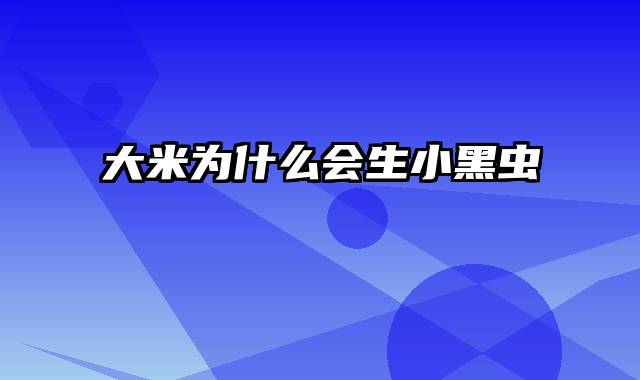 大米为什么会生小黑虫