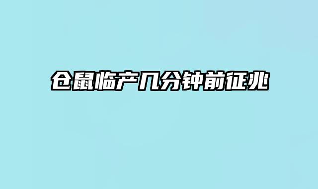 仓鼠临产几分钟前征兆