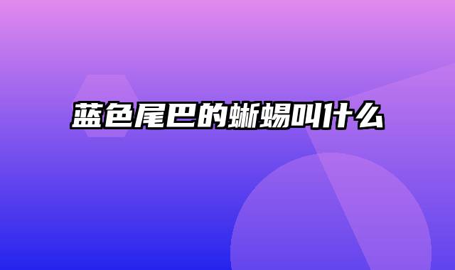 蓝色尾巴的蜥蜴叫什么