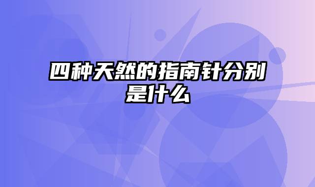 四种天然的指南针分别是什么